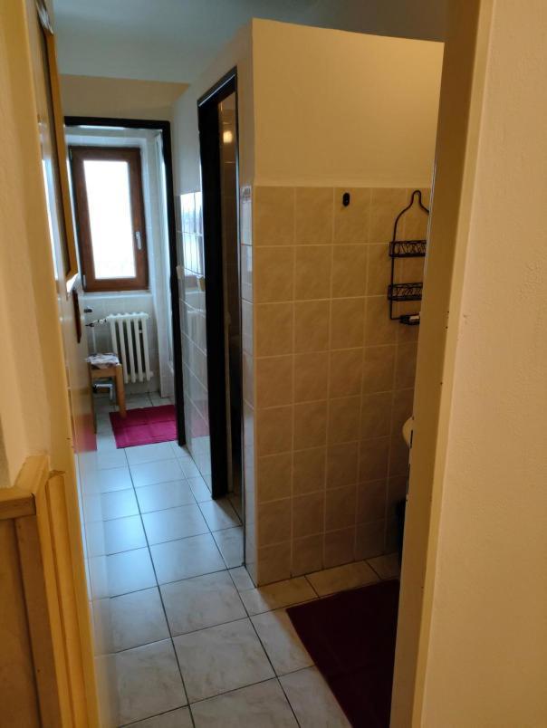 Penzion Sumava - Apartman Horni Plana Ngoại thất bức ảnh